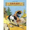 Tajomstvo Malého bleska (Yakari 6) - Derib Job