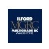 Ilford MGRCWT.1M 18x24/100