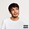 Rex Orange County: Pony - Vinyl (LP)
