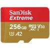 SanDisk microSDXC 256GB SDSQXAV-256G-GN6MA
