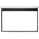 Optoma 123" 16:10 DS-1123PMG+