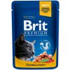 Brit Premium Cat Salmon & Trout 100 g