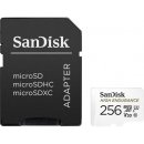 SanDisk SDXC 256GB SDSQQNR-256G-GN6IA