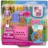 BÁBIKA BARBIE CHELSEA PREPRAVNÍK PRE PSA – Súprava s bábikou Chelsea