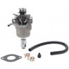 Karburátor pre motory Briggs & Stratton (OEM 796587 591736 594601)