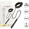Calex Boundless Collar and Leash