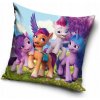 Carbotex My little pony 40 x 40 cm