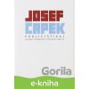 E-kniha Publicistika 1 - Josef Čapek, Václav Sokol (ilustrátor)