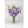 LISIANTHUS, CUT FLOWER DOUBLE, ABC 2 LAVENDER, 1000 semien