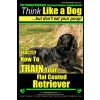 Flat Coated Retriever, Flat Coated Retriever Training AAA AKC - Think Like a Dog But Don't Eat Your Poop! - Flat Coated Retriever Breed Expert Trainin