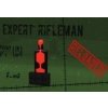 Expert Rifleman - Reloaded Steam CD Key