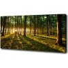 Foto obraz na plátne Slnečné lúče 100x50 cm