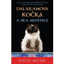 Dalajlamova kočka a síla meditace