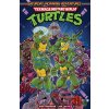 Teenage Mutant Ninja Turtles: Saturday Morning Adventures, Vol. 1 - Erik Burnham, Tim Lattie