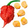 Semená papriky Carolina Reaper HP22B Palm-Tree 1,00 g