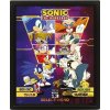 Sonic 3D obraz - Select your Fighter