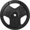 Liatinový kotúč inSPORTline Hamerton Black 25 kg 30 mm