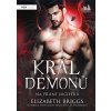 Král démonů – Na přání Lucifera - Elizabeth Briggs