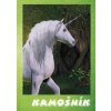Kamošník - Jednorožec - Orémusová Dagmar