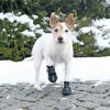 Trixie topánka WALKER ACTIVE 2ks