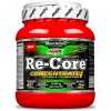 Amix Re-Core concentrated 540 g ovocný punč