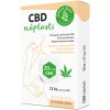 Zelená Země CBD náplasti 12 ks