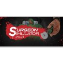 Surgeon Simulator 2013