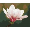 Diamondi Diamantové maľovanie - BIELA MAGNÓLIA Rámovanie: bez rámu a bez vypnutia plátna, Rozmer: 40x50 cm