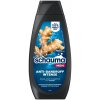 Schauma pre lesk Intensive šampón 400 ml