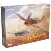 Eduard Curtiss P-40 Kittyhawk Dual Combo 1:48