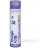 Spongia Tosta gra.1 x 4 g 30CH