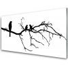 Nástenný panel Vtáky vetva umenie 100x50 cm