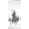 Fototapeta - DV1050 - Biele kone abstrakcia Vliesová fototap. - 91cm x 211cm