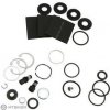 Rock Shox 10 BOXXER RACE SERVICE KIT