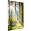 Vertikálny foto obraz akryl do obývačky Slnko v lese 50x100 cm