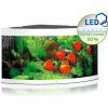 Juwel Akvárium set Trigon LED 350 (350l) Varianta: Biela
