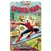 Spider-Man Kozmický chaos - Mike Maihack