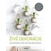 Živé dekorácie - Kolektív