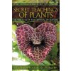 Secret Teachings of Plants