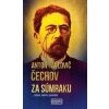 Za súmraku - Anton Pavlovič Čechov