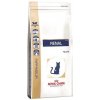 Royal Canin Cat Renal Special Feline 4 kg - suché krmivo pro kočky s akutním selháním ledvin