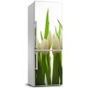 Fototapeta nálepka na chladničku Tulipány 60x180 cm