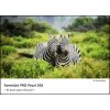FOMEI A4/500 FomeiJet PRO Pearl 265, priem. balenie (EY5252) - FOMEI A4, 500 listů, 265 g/m2