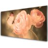 Skleneny obraz Motýľ ruže príroda 100x50 cm