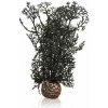 biOrb Plastová rastlina - Sea Fan čierná 20 cm