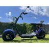 Elektrická kolobežka Lera Scooters C1+ 1500W modrá