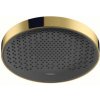 HansGrohe Rainfinity - Horná sprcha 360, 1jet, leštený vzhľad zlata 26231990