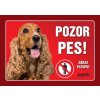 Juko Plastová tabuľa Pozor Pes Kokršpaniel 21 x 14,7 cm