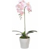 Umelá Orchidea ružová 53 cm