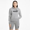 Puma ESS Logo Hoodie TR | 4063697203228 | Šedá | S